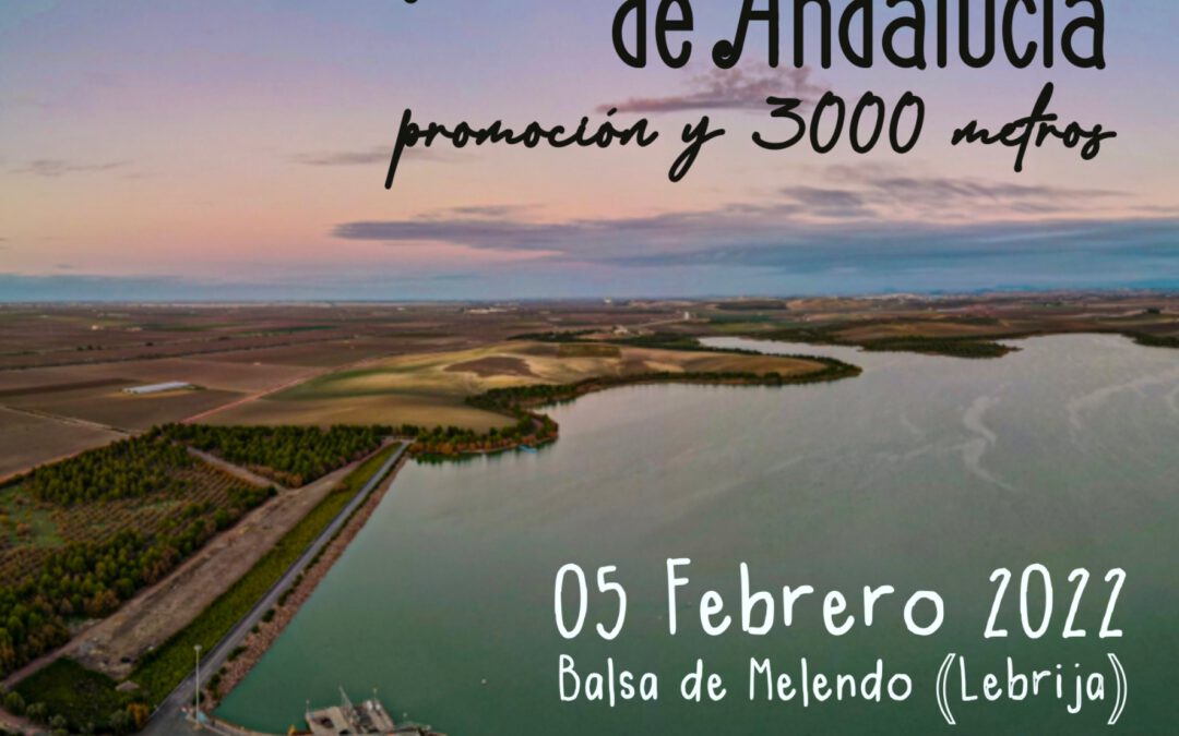 Campeonato de Andalucía de Promoción y 3.000 metros